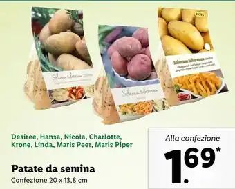 Lidl Patate da semina offerta