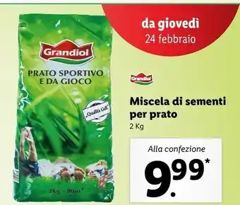 Lidl Grandiol miscela di sementi per prato offerta