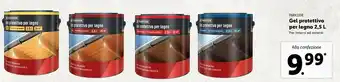 Lidl Parkside gel protettivo per legno offerta