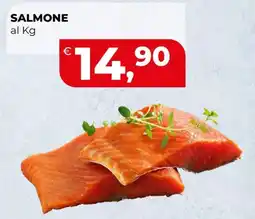 Coop Master Alleanza 3.0 Salmone offerta