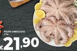 Bennet Polpo arricciato offerta