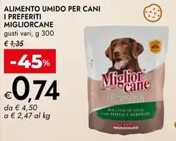 Bennet Miglior cane I Preferiti offerta