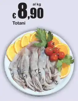 Sì con te Totani offerta