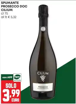 Panorama Spumante Prosecco Doc Cilium offerta