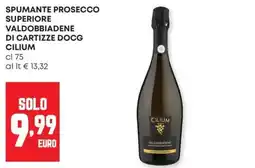 Panorama Spumante Prosecco Superiore Valdobbiadene di Cartizze DOCG Cilium offerta