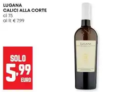 Panorama Lugana calici alla corte offerta