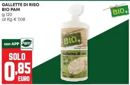 Panorama Gallette di riso Bio Pam offerta