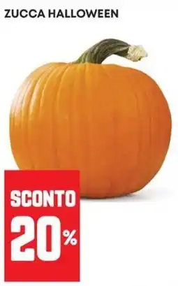 Panorama Zucca Halloween offerta