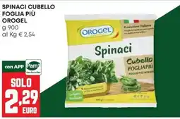 Panorama Spinaci Cubello offerta
