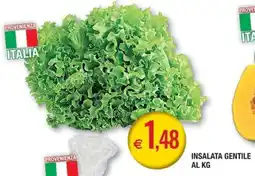 Palmarket Insalata Gentile offerta