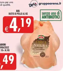 Deco Maxistore AIA busto di pollo offerta