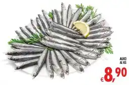Deco Maxistore Alici offerta