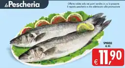 Deco Maxistore Spigole offerta