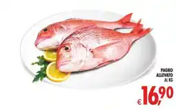 Deco Maxistore Pagro allevato offerta