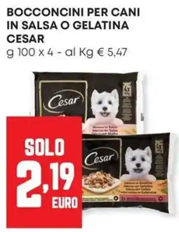 Panorama Bocconcini per cani in salsa o gelatina Cesar offerta