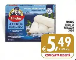 Deco Maxistore Findus 4 Fiori di Merluzzo offerta
