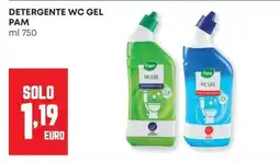 Panorama Detergente wc gel Pam offerta