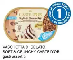 Il Gigante Vaschetta di gelato soft & crunchy Carte d'Or offerta