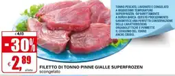 Il Gigante Filetto di tonno pinne gialle superfrozen offerta