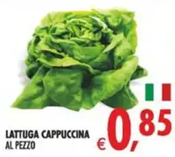 Deco Maxistore Lattuga Cappuccina offerta