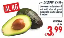 Deco Maxistore Avocado offerta