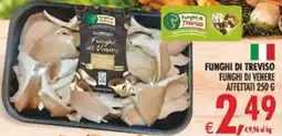 Deco Maxistore Funghi di Venere offerta