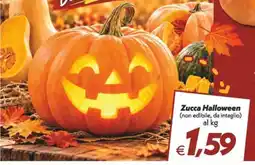 Iper Super Conveniente Zucca Halloween offerta