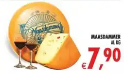 Deco Maxistore Maasdammer offerta