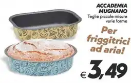 Iper Super Conveniente Teglie piccole misure varie forme offerta