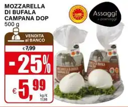 Il Gigante Mozzarella di bufala campana dop offerta