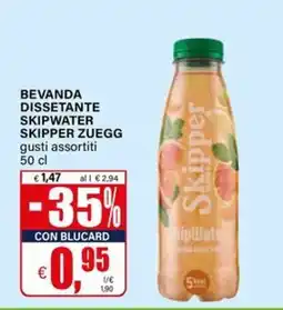 Il Gigante Skipper Zuegg SkipWater offerta