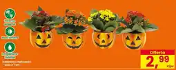Eurospar Kalanchoe Halloween offerta