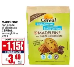 Il Gigante Madeleine senza glutine Céréal con pepite di cioccolato offerta