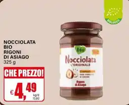 Il Gigante Nocciolata bio Rigoni di Asiago offerta