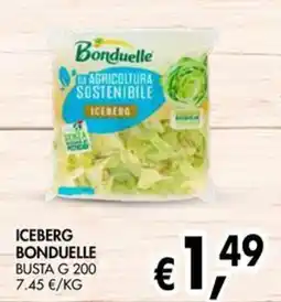èccoMI Iceberg Bonduelle offerta