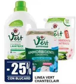 Il Gigante Ammorbidente concentrato Vert offerta