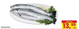 Eurospar Salmone fresco offerta