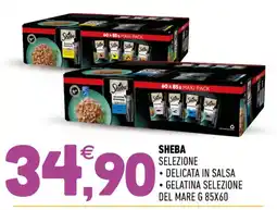 Ayoka Sheba Selezione offerta