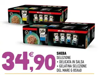 Sheba Selezione