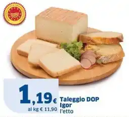Sigma Taleggio DOP Igor offerta