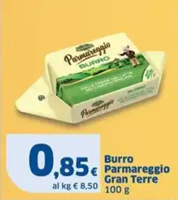 Sigma Burro Parmareggio Gran Terre offerta