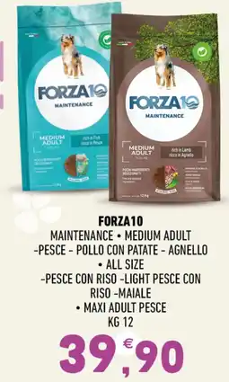 Ayoka Forza 10 Maintenance Medium Adult offerta