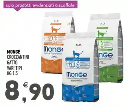 Ayoka Monge croccantini gatto offerta