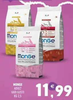 Ayoka Monge adult vari gusti offerta