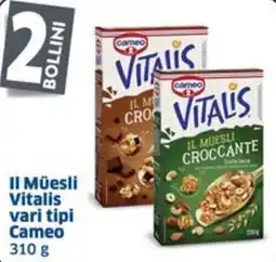 Sigma Il Müesli Vitalis vari tipi Cameo offerta