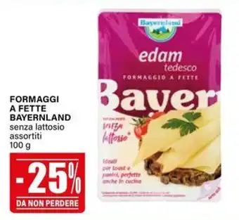 Formaggi a fette Bayernland senza lattosio
