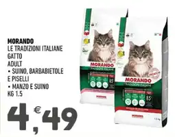 Ayoka Morando gatto adult offerta