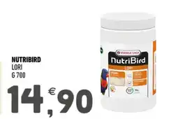 Ayoka NutriBird Lori offerta
