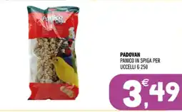 Ayoka Padovan panico in spiga per uccelli offerta