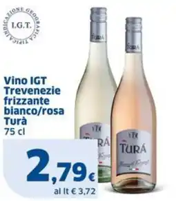 Sigma Vino IGT Trevenezie frizzante bianco/rosa Turà offerta